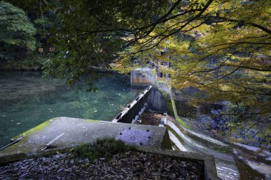 Ormanda küçük bir demir köprü.