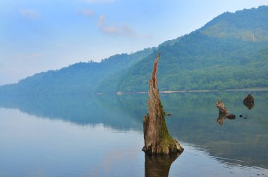 Göl ve dağlarda ağaç kütükleri olan güzel bir manzara 