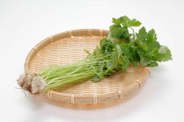 Doğal taze kişniş yapraklarının manzarasını kapat