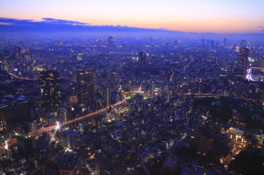 Tokyo şehir manzarası geceleyin Japonya 'nın yukarısından