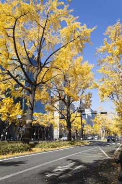 Şehir sokakları araba ve binalarla dolu.