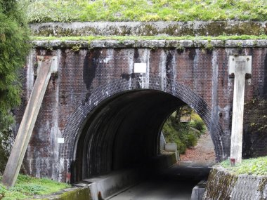 Yeşil yosunlu bitki örtüsüyle çevrili eski tuğla tünel girişi