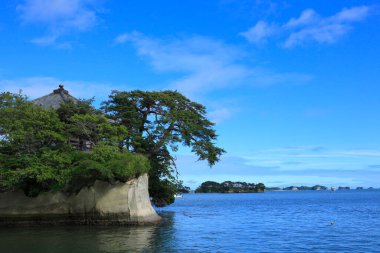 Bereketli yeşil bitki örtüsüyle deniz ve kayalık adaların güzel manzarası. Miyagi Bölgesi, Japonya 'daki Matsushima Adaları