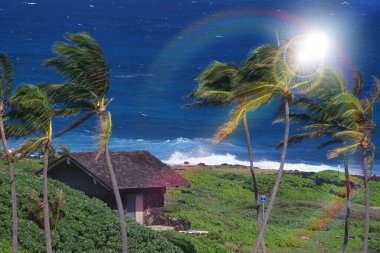 Arka planda ağaç olan güzel bir manzara.