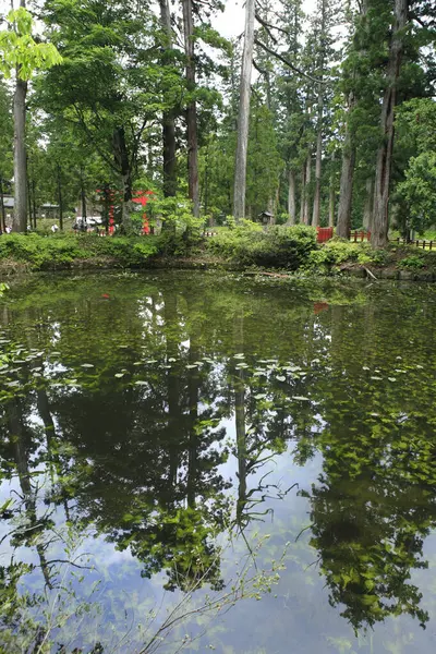View Garden Japanese Park — Stock Photo, Image