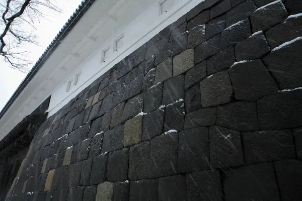 Vista Invernale Del Muro Del Castello Giapponese — Foto Stock
