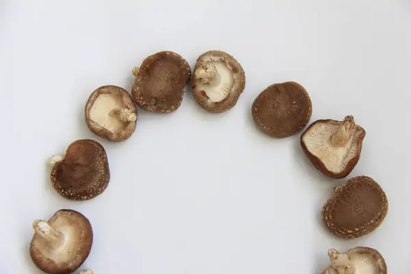 Cogumelos Fundo Branco Alimentos — Fotografia de Stock