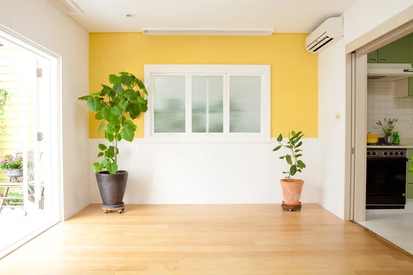 Habitación Vacía Con Planta Verde Casa Moderna —  Fotos de Stock