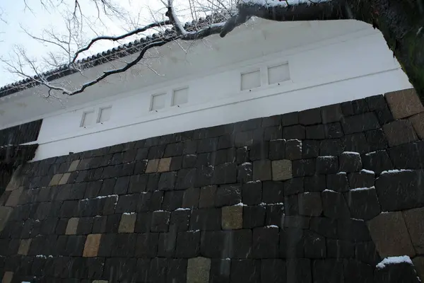 Vista Invierno Pared Del Castillo Japonés —  Fotos de Stock