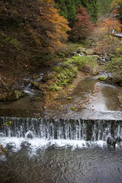 秋の森の滝の美しい景色 — ストック写真
