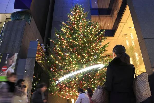 Karácsonyfa Utcán Tokióban Japánban — Stock Fotó