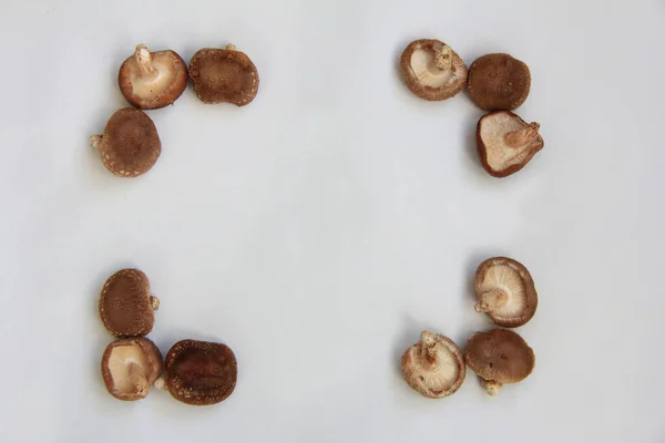 Nahaufnahme Von Frischen Shiitake Pilzen Auf Weißem Hintergrund — Stockfoto