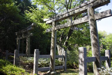 Orman ağaçlarıyla çevrili güzel antik Japon tapınağının manzaralı görüntüsü.