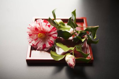 Tahta bir masada güzel kırmızı bir çiçek