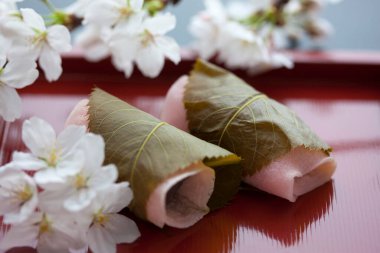 Kiraz çiçeklerinin ve Japon geleneksel tatlılarının yakın görüntüsü, mochi tatlısı.