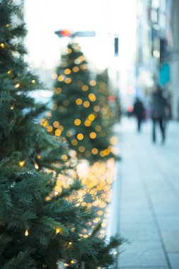 Bulanık Noel ağacı ve sokak ışıkları               