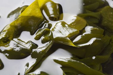 Pişmiş yeşil deniz yosunu, sağlıklı Asya yemekleri. 