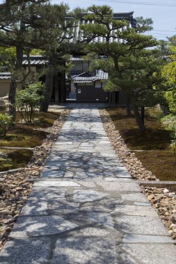 Güzel Japon yeşil bahçesinde yol 