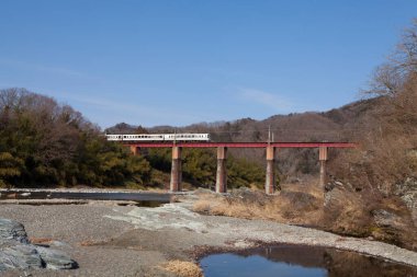 Tren İstasyonu, sonbahar orman