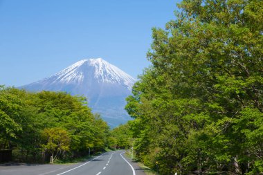 Sonbahar mevsiminde Fuji dağı ve yol