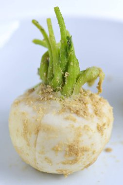 Gri arkaplanda şalgam 