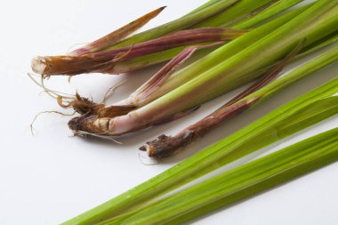 Beyaz arka planda yeşil lahanası