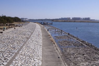 Tokyo, Japonya 'daki Kasai Sahil Parkı Batı Sahili