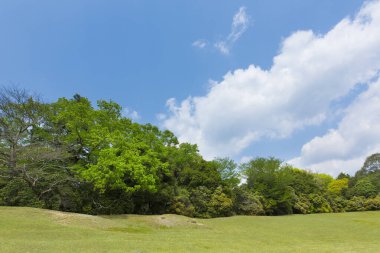 Güzel yeşil alan ve mavi bulutlu gökyüzü