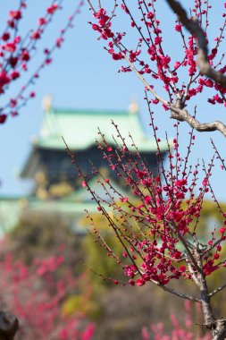 Önplanda çiçek açan sakura ile güzel antik Japon soylu tapınağının manzaralı görüntüsü.