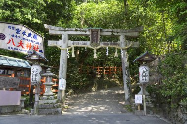 Güzel Japon Yeşil Bahçe 