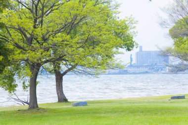 Kentte denize yakın yeşil ağaçlar  