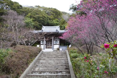 Parktaki tapınağın güzel manzarası.