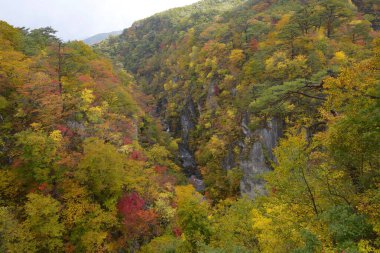Dağlarda renkli ağaçlar olan güzel sonbahar manzarası