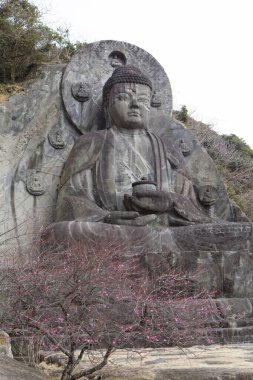 Japonya 'daki Nihon-ji Tapınağı' nda bir kayanın üzerine oyulmuş bir Buda heykeli..