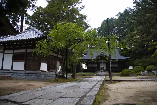 Orman ağaçlarıyla çevrili güzel antik Japon tapınağının manzaralı görüntüsü.