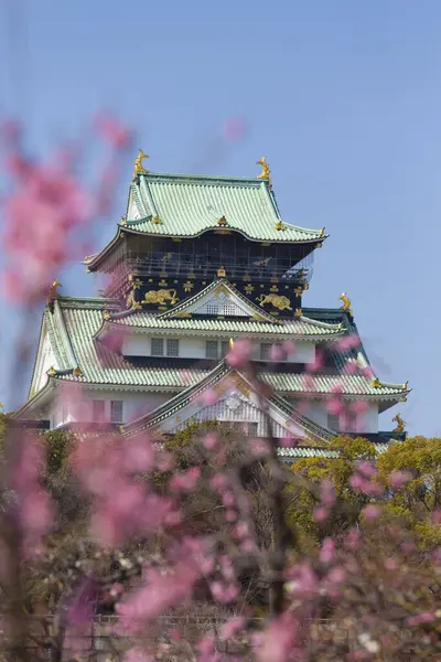 美丽的日本古寺的风景画 前景一片光明 — 图库照片