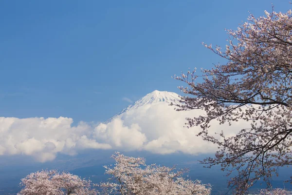beautiful mountain Fuji with cherry blossoms. Japan during spring season