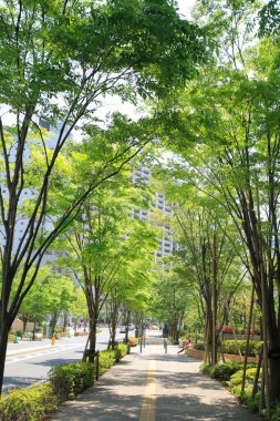 Yeşil ağaçlar ve yollar ile modern şehir silueti  