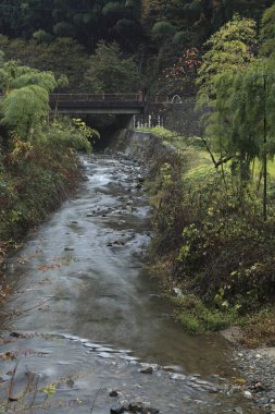 Japonya 'daki Japon nehri.