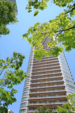 Şehirdeki yüksek binaların ve yeşil ağaçların alçak açılı görüntüsü    