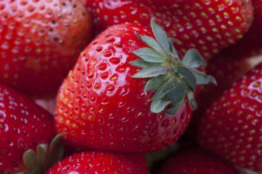 bir kase taze kırmızı çilek