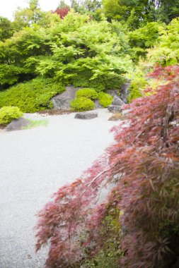 Kyoto, Japonya 'daki Japon bahçesi.