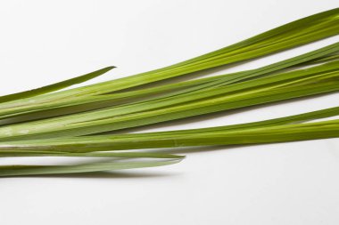 Beyaz arka planda yeşil lahanası