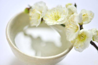 Güzel beyaz kiraz çiçekleri ve beyaz arka planda su kasesi. Spa ve sağlık konsepti