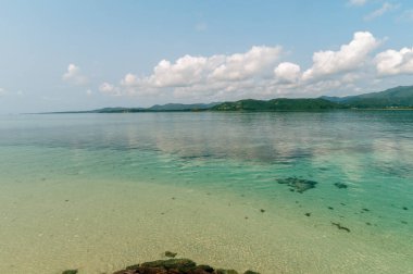 Doğanın arka planında deniz manzarası