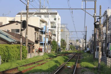 Japonya 'nın geniş ve aktif caddesinde gün ortası koşuşturması tamamen sergileniyor..