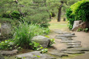Taş yolu olan Japon bahçesi. 