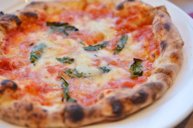 Peynirli pizza, domates sosu ve fesleğen.