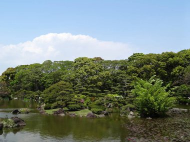 Park 'taki güzel gölet, Japonya