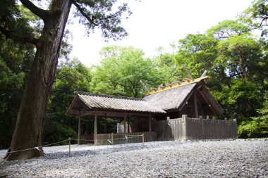 Yeşil orman içinde ahşap ev 